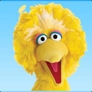 BigBirdjr