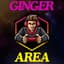 GingerArea