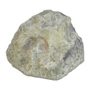 PooMuncher72