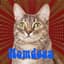 Hemdogg1