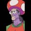 Mr Mushroom