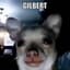 Gilbert