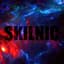 !SKILNIC!