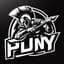 PuNY