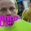 Bird UP!