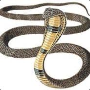 -=SolidSnake=-