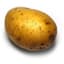 Potato
