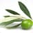 oliv l'olive
