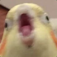 Peapot_Nutnob