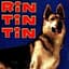 rinTinTiN