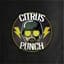 CitrusPunch
