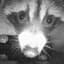 MR. Denolf
