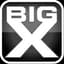 BigX
