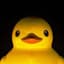 QuackyDuck