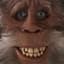 Chewbacca