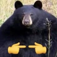 TaktikaiCigi