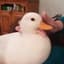 FredMan_05