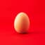 Professional Egg