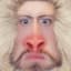 LitPhuse