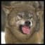 Fenrir Nordson