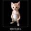 Michaelike