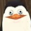 Thicc_Penguin