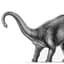 Dipladocus