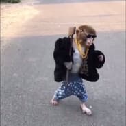 Tovle