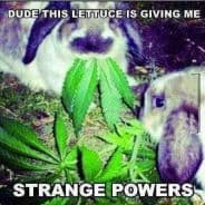^(tH3 HolY Herb )^