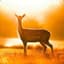 BeautifulDeer