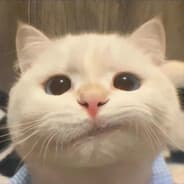 一二