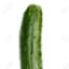 Cucumber1X
