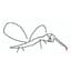 Mosquito