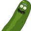 Pickle