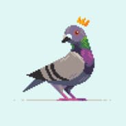 Pigeon