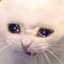 Come Back Demon </3