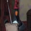 Feathers McGraw