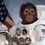 SpaceMonkey