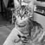 LukinO_Live