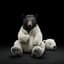 WhiteBlackBear12