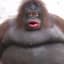 ape
