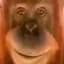 Mr. Sniff's World of