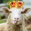 kIngSh3Ep