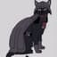 darthcat