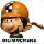 Bigmacrere