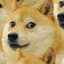 heknn_bamboozled
