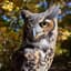 Mystic Owl