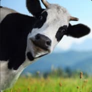 Cowika