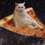 The Flying PizzaCat