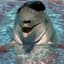 Adolphin
